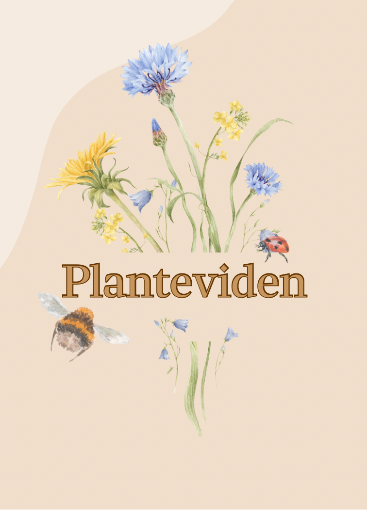 Planteviden