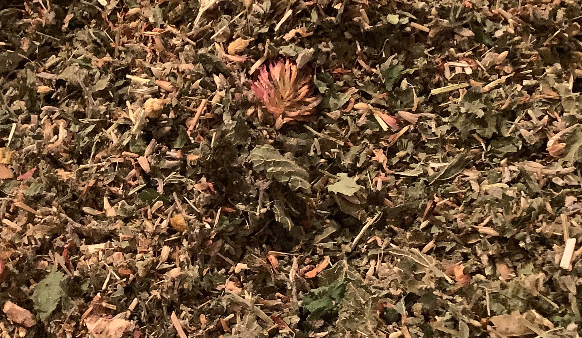 Kvindekraft – Urtete til cyklus, hormonel balance og overgangsalder